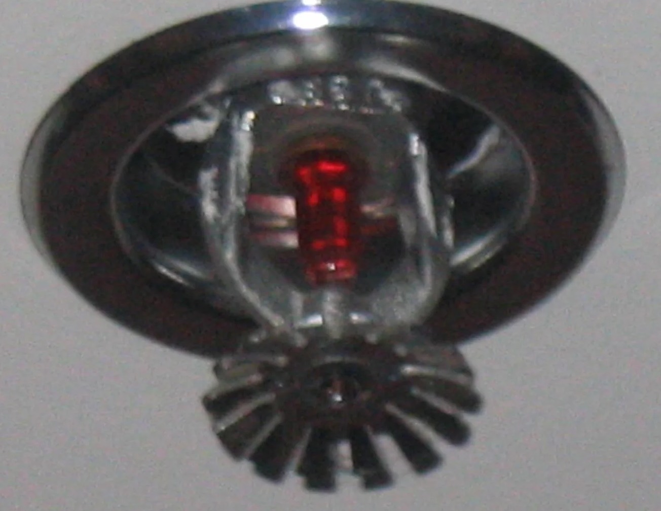 Fire Sprinkler Cleanup in Rowlett, TX