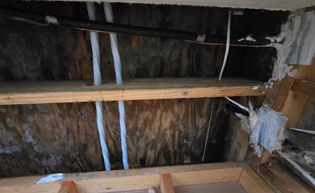 Attic Damage Restoration in Rowlett, TX