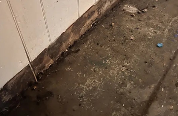 Hoarding Cleanup in Rowlett, TX
